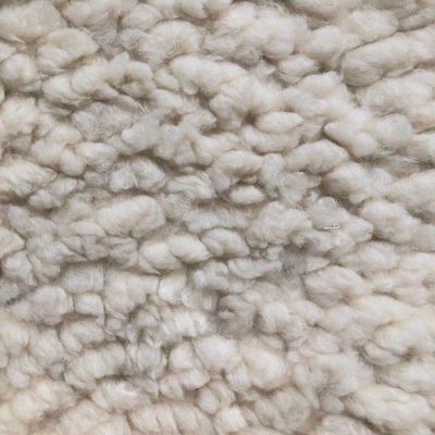100% Polyester Plush Fabric Knitted 320gsm 58/60" Width Quick-dry for Sherpa Fabric