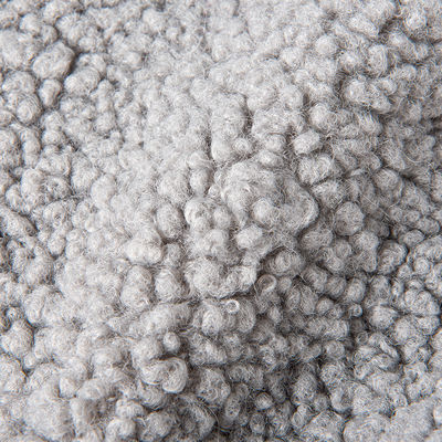 Customized Warm and Soft Teddy Fleece Fabric for Garment 100% Polyester Width 58/60
