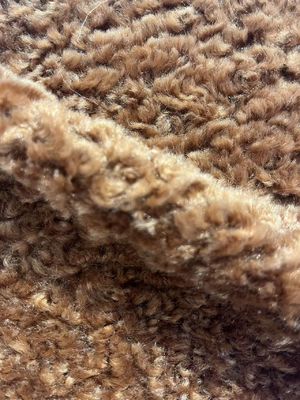Stain Repellent Hometextile Polyester Teddy Fabric for Garment and Sofa Selection