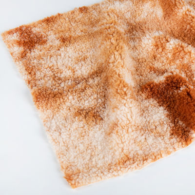 Special Dyeing Teddy Fabric for Garment/Sofa in Medium Weight 100% Polyester Sale