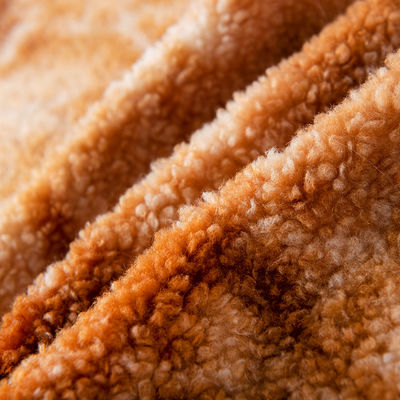 Special Dyeing Teddy Fabric for Garment/Sofa in Medium Weight 100% Polyester Sale