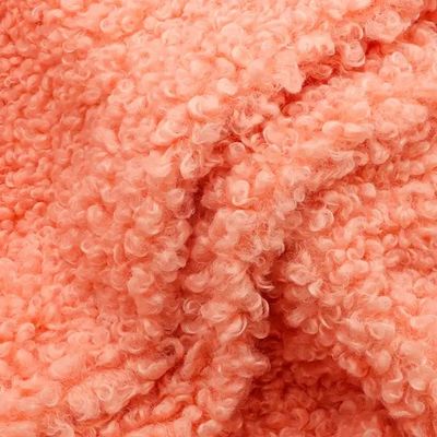Women Coat 300GSM Teddy Fleece Fabric Soft Shell Custom Color 100% Polyester Free Samples