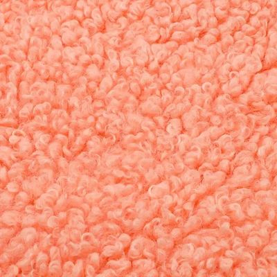 Women Coat 300GSM Teddy Fleece Fabric Soft Shell Custom Color 100% Polyester Free Samples