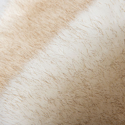 High Weight Plush Knitted Backing Technics Long Hair Pile Soft Faux Fur for and Fabric