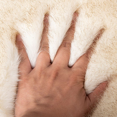 High Weight Plush Knitted Backing Technics Long Hair Pile Soft Faux Fur for and Fabric